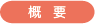 概要